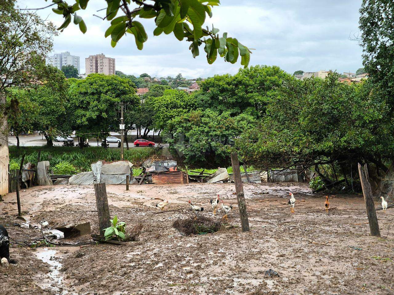 Terreno à venda no bairro Cidade Jardim: 