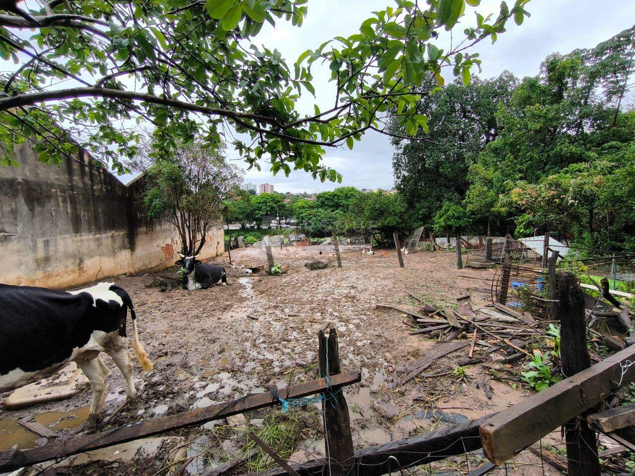 Terreno à venda no bairro Cidade Jardim: 