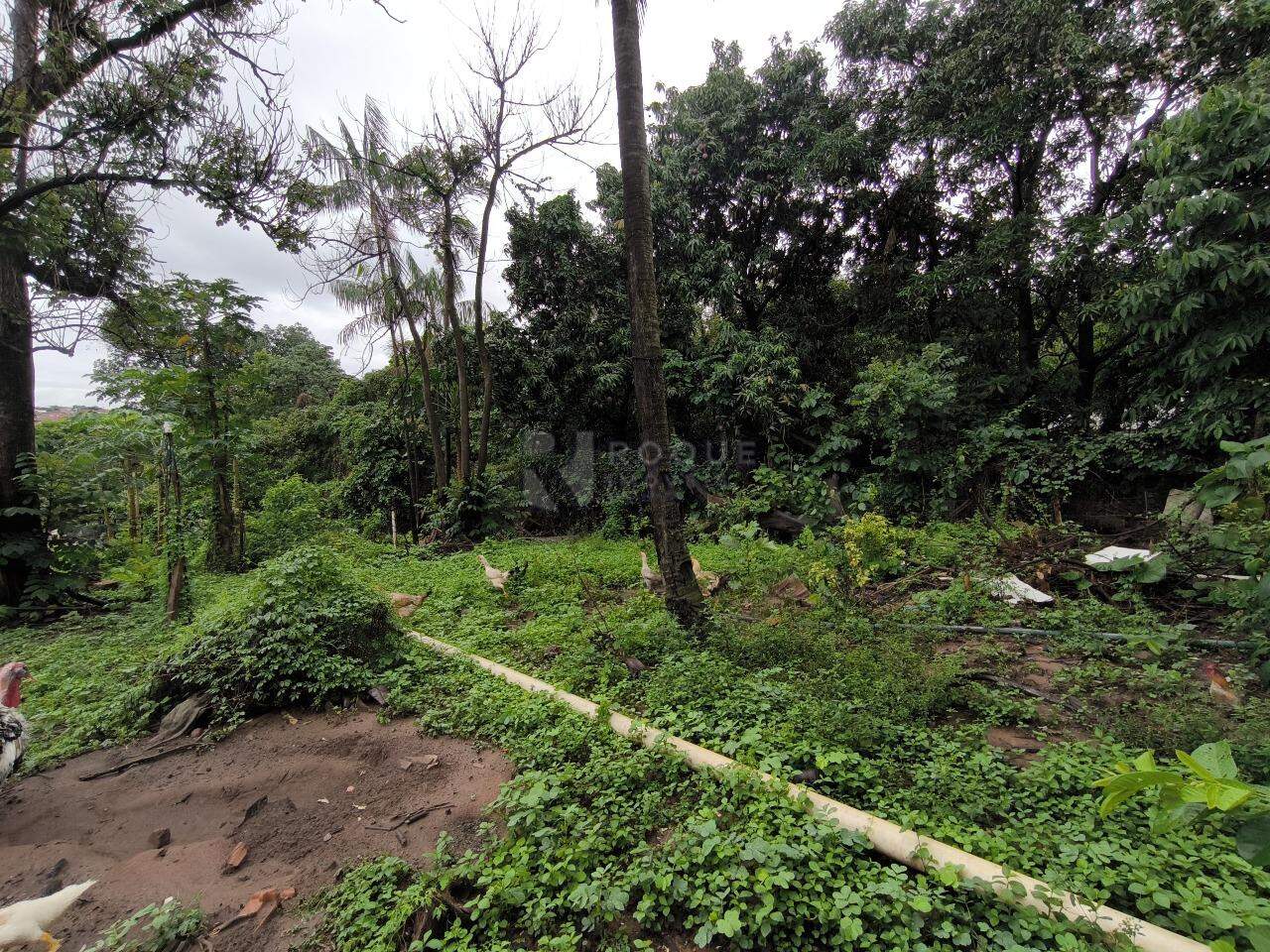 Terreno à venda no bairro Cidade Jardim: 