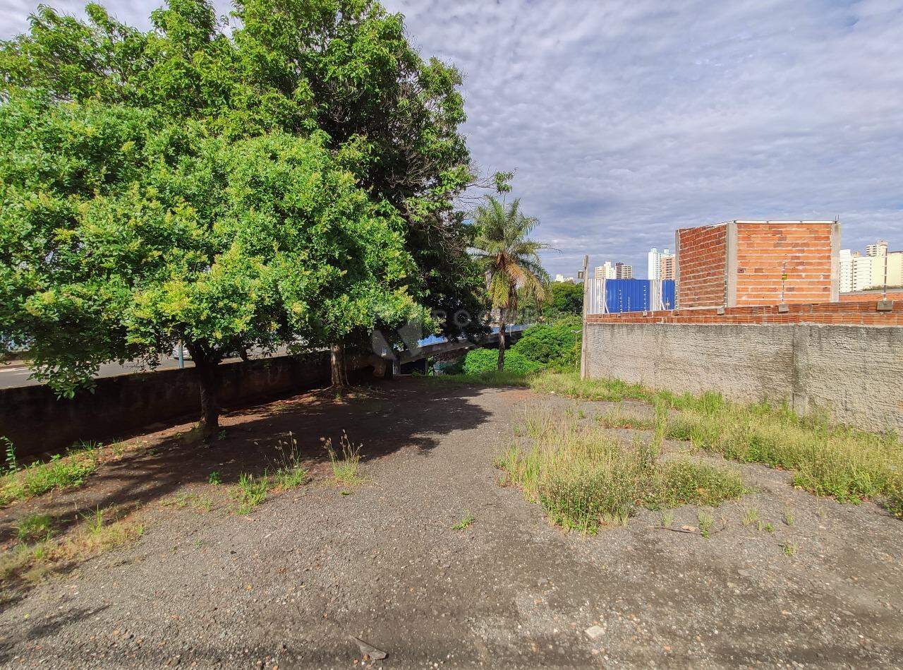Terreno para aluguel no bairro Jardim Doutor João Batista Levy: Terreno 