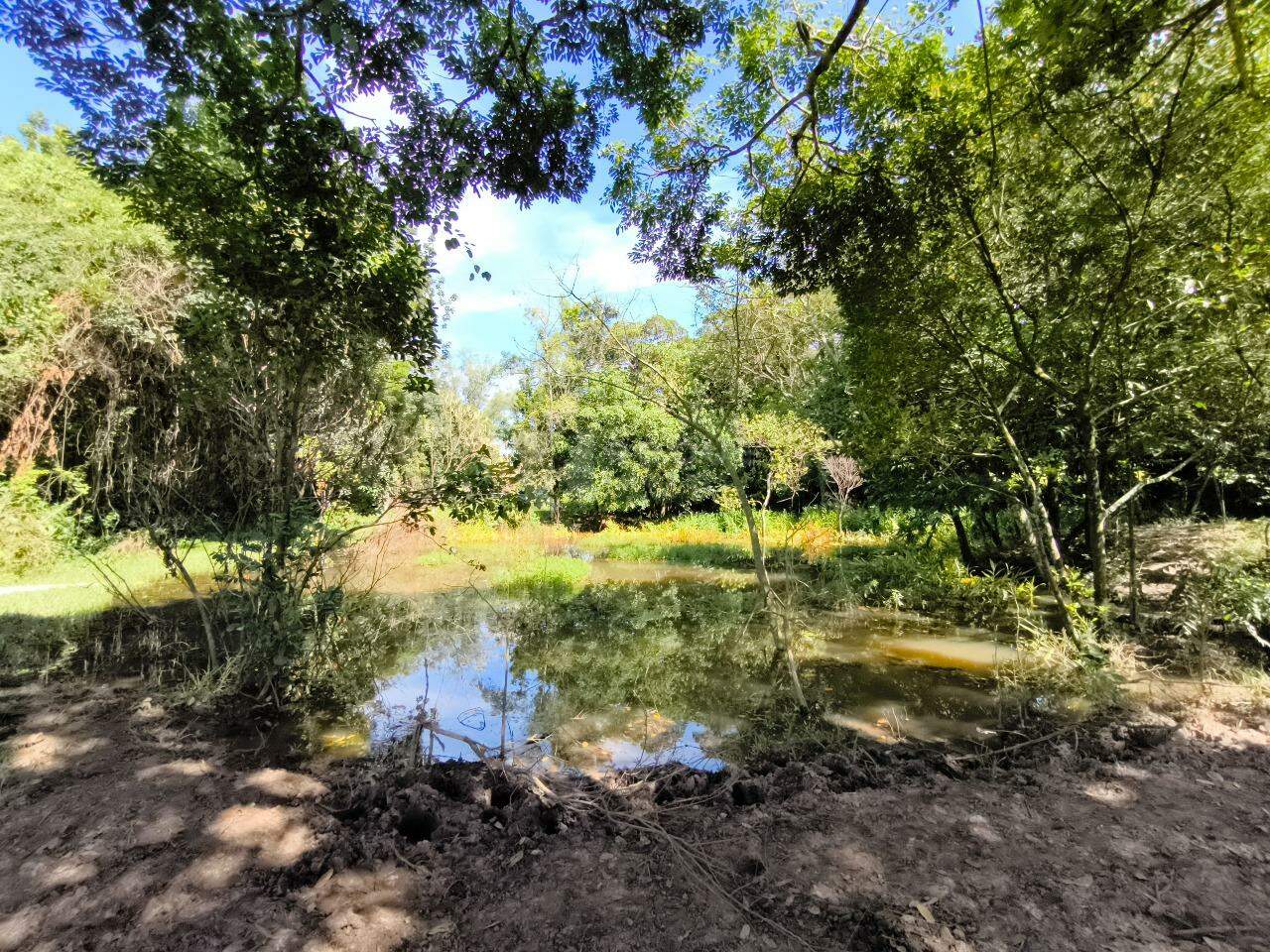 Sítio à venda no bairro Bairro dos Lopes: LAGO