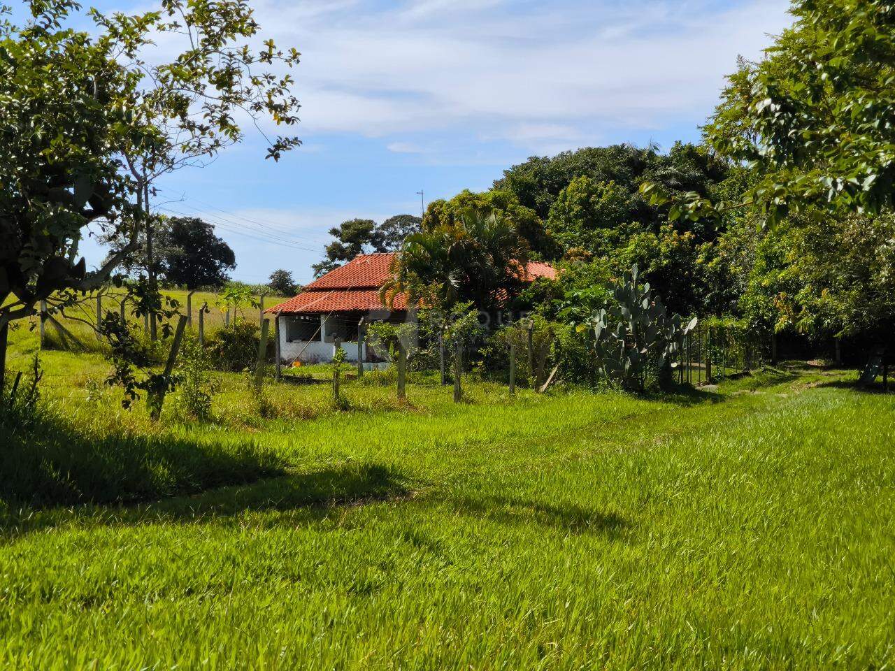 Sítio à venda no bairro Bairro dos Lopes: