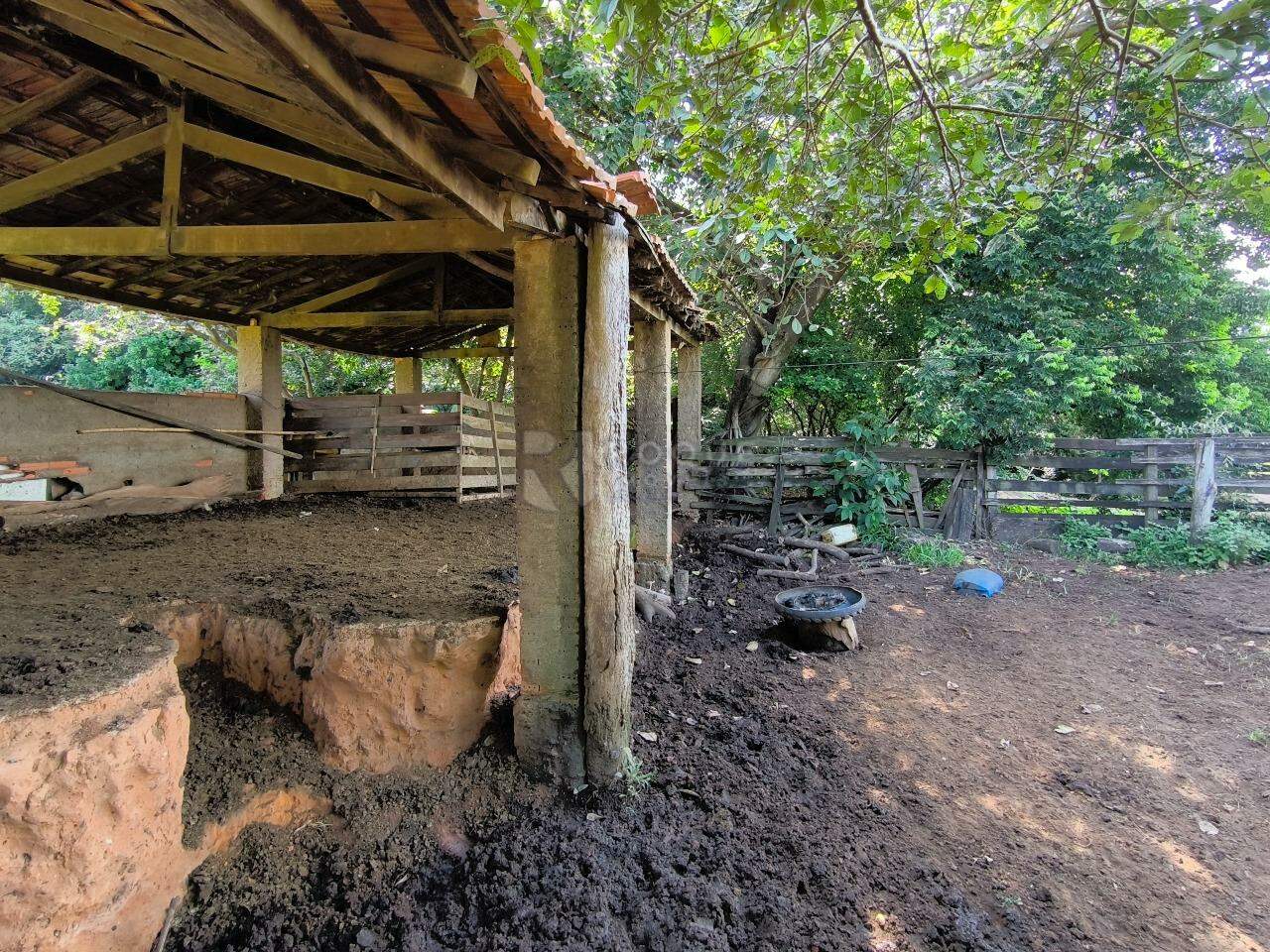 Sítio à venda no bairro Bairro dos Lopes: CURRAL