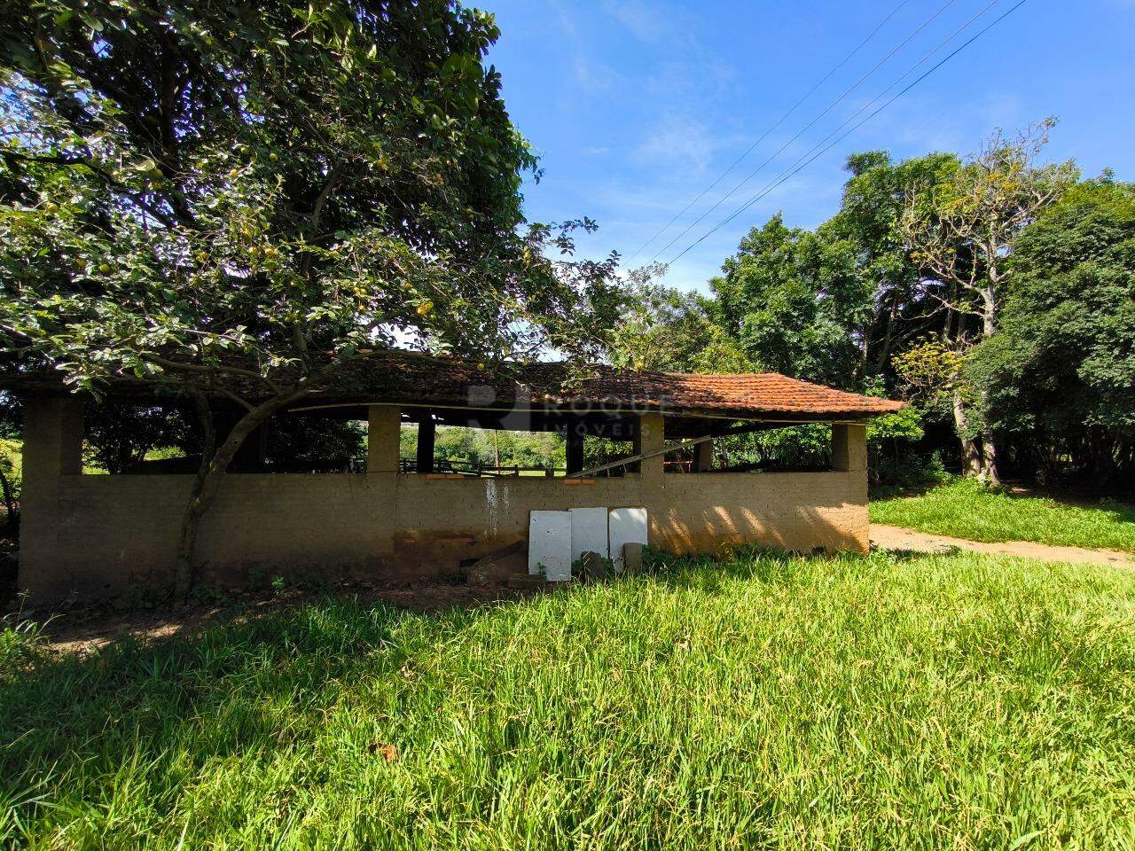 Sítio à venda no bairro Bairro dos Lopes: CURRAL