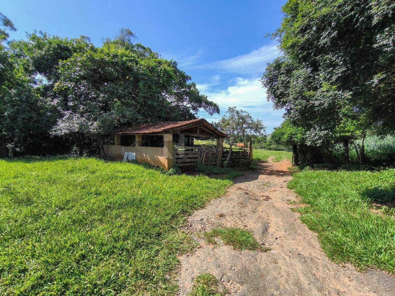 Sítio à venda no bairro Bairro dos Lopes: CURRAL