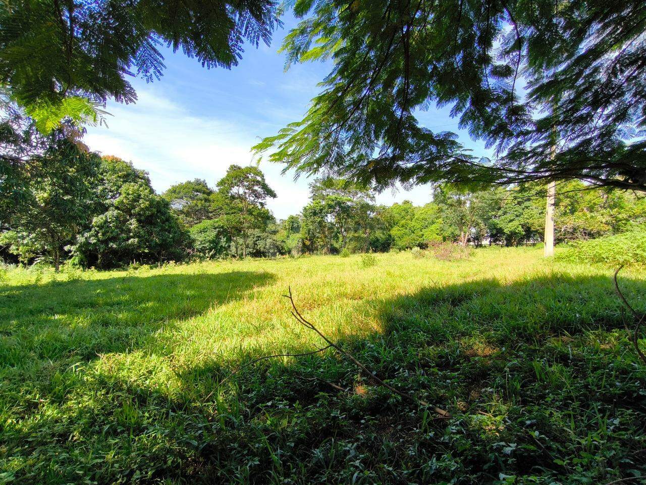 Sítio à venda no bairro Bairro dos Lopes: