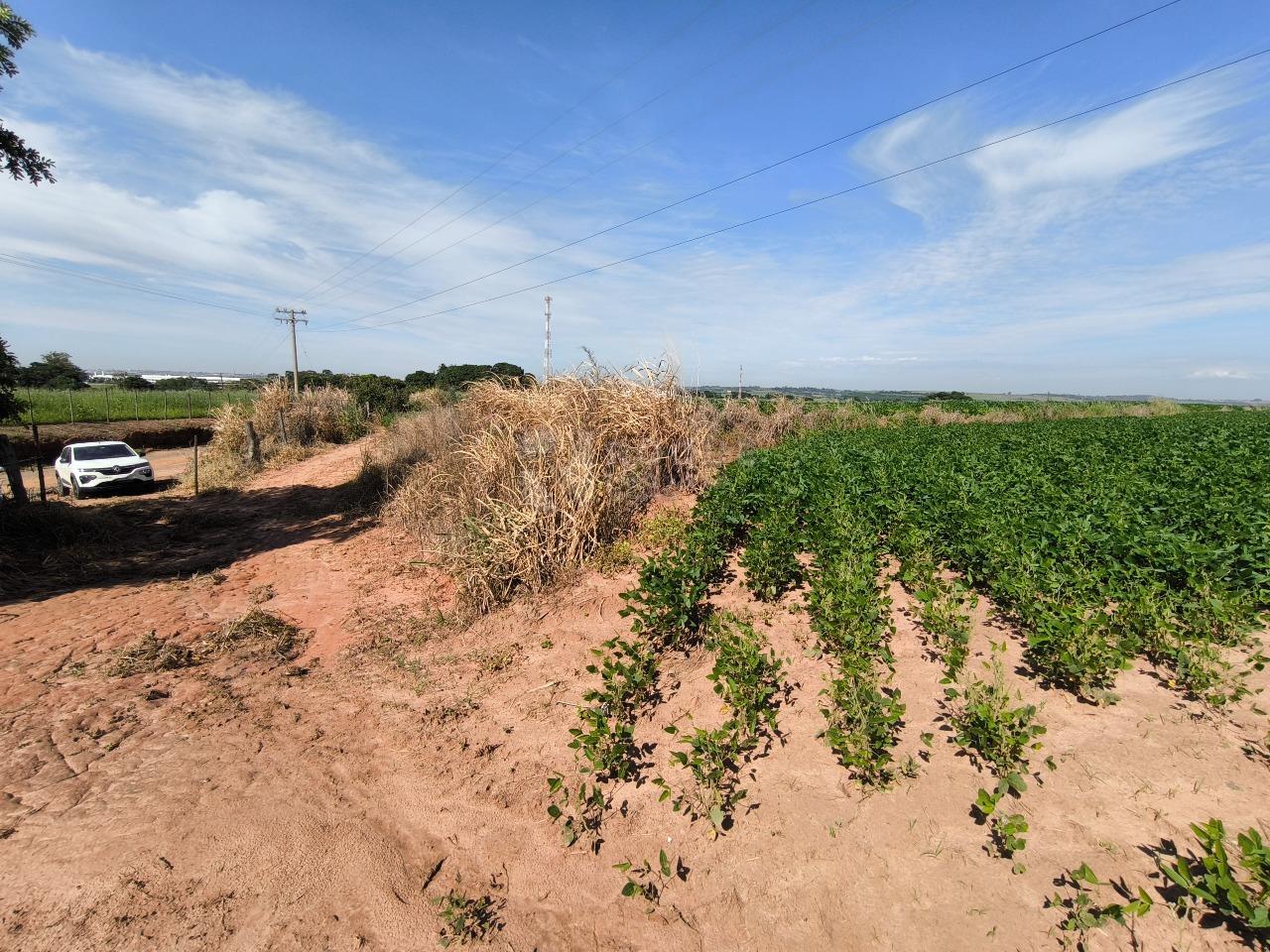 Área à venda no bairro Bairro dos Lopes: 
