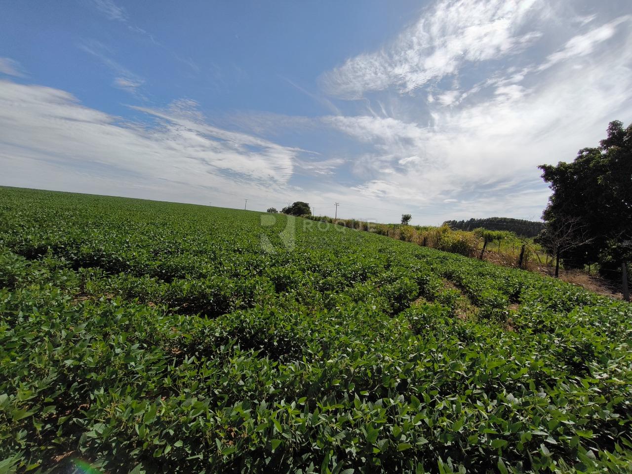 Área à venda no bairro Bairro dos Lopes: 