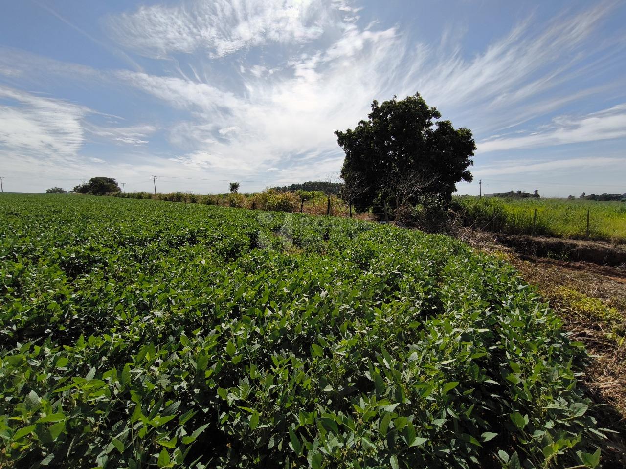Área à venda no bairro Bairro dos Lopes: 