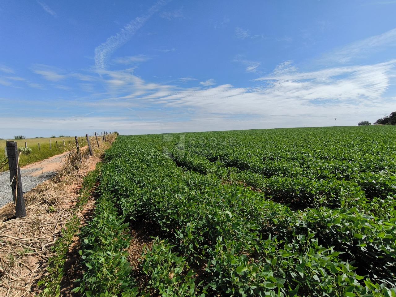 Área à venda no bairro Bairro dos Lopes: 