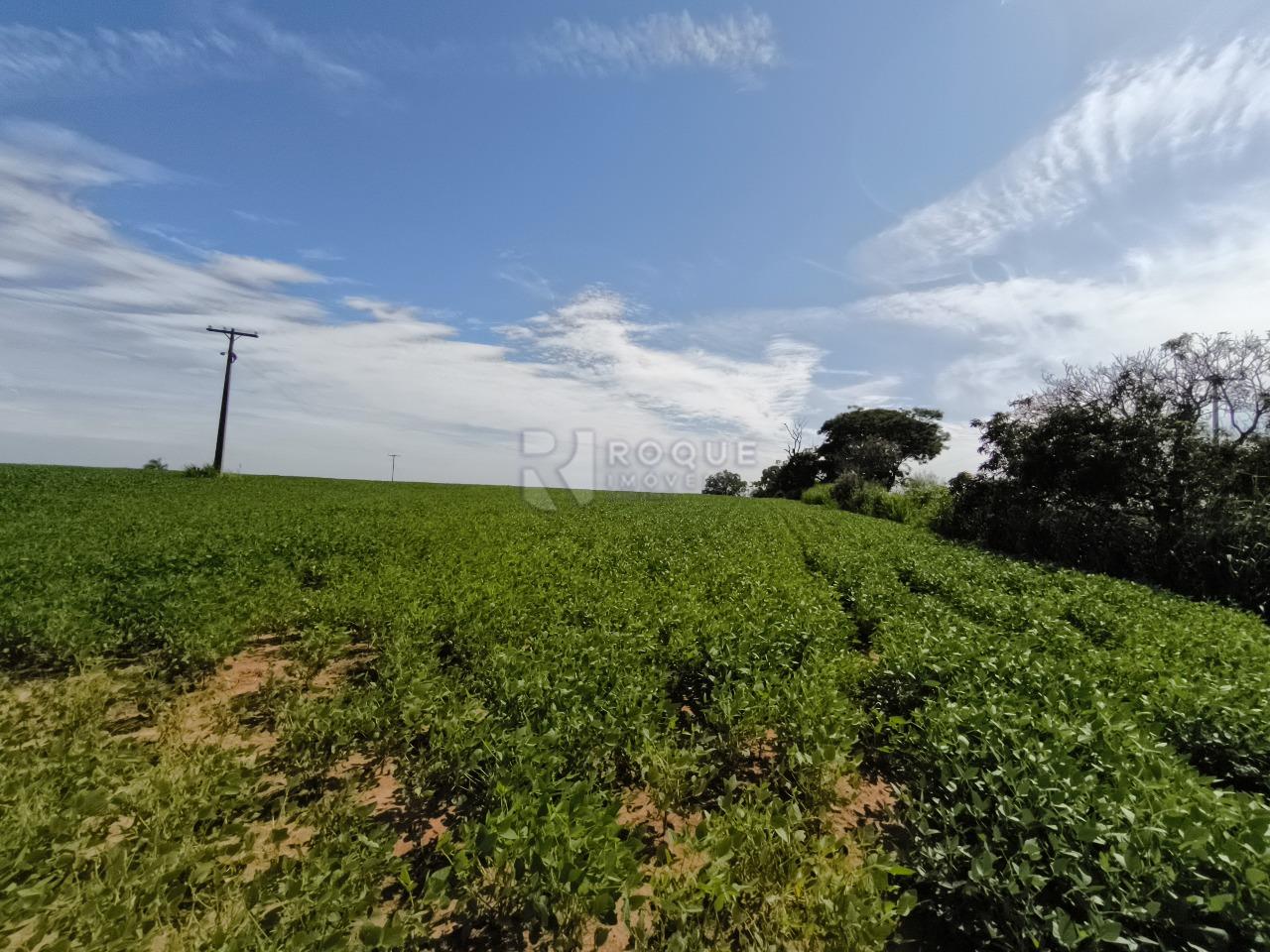 Área à venda no bairro Bairro dos Lopes: 
