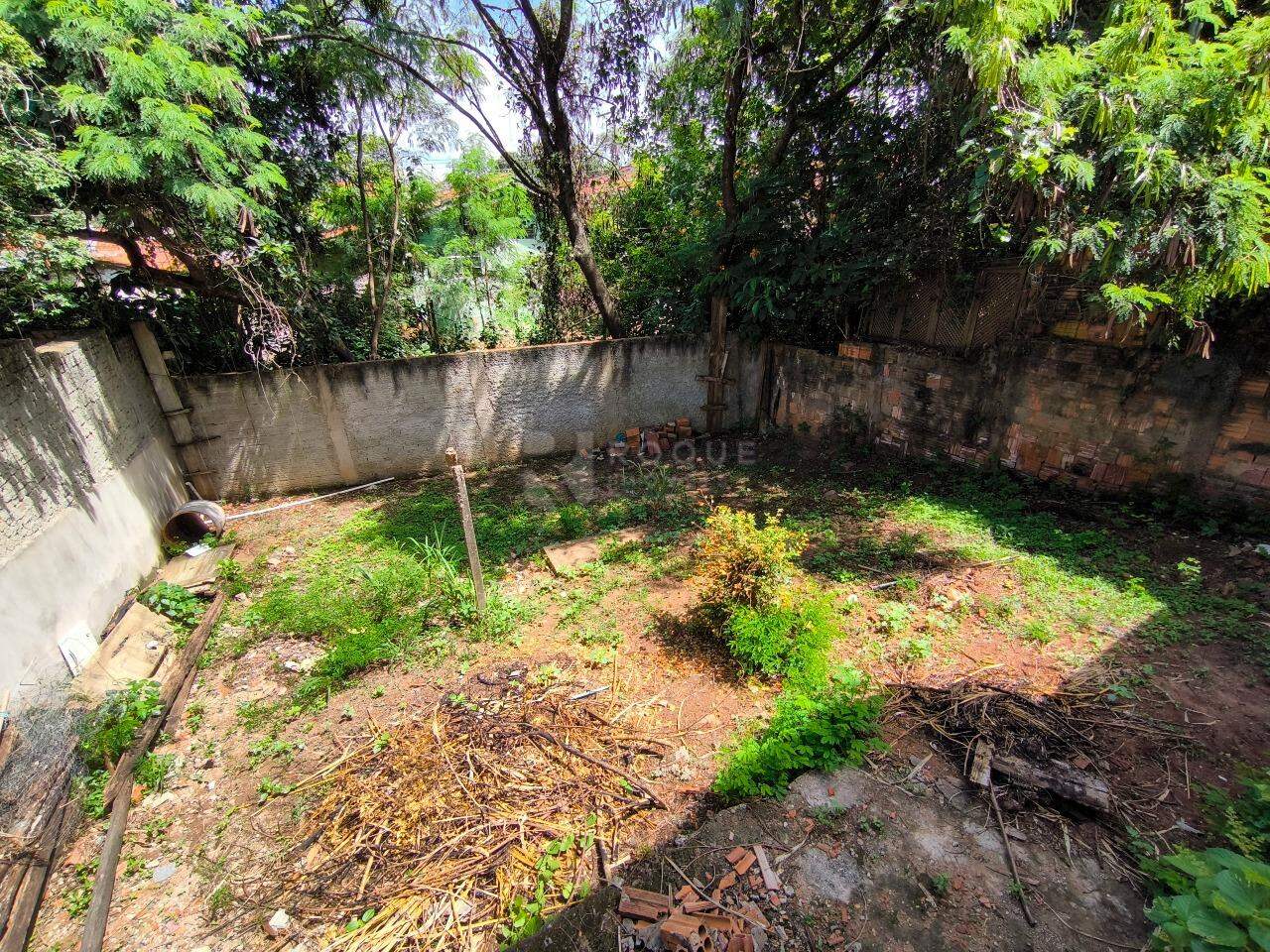 Casa Residencial à venda no bairro Vila Queiroz: QUINTAL