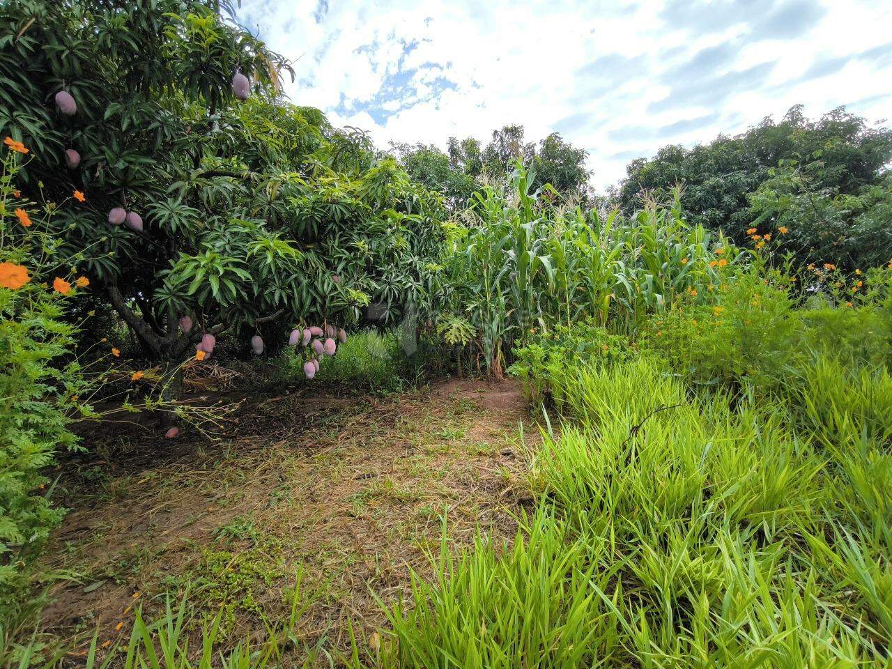Chácara à venda no bairro Pires de Cima: