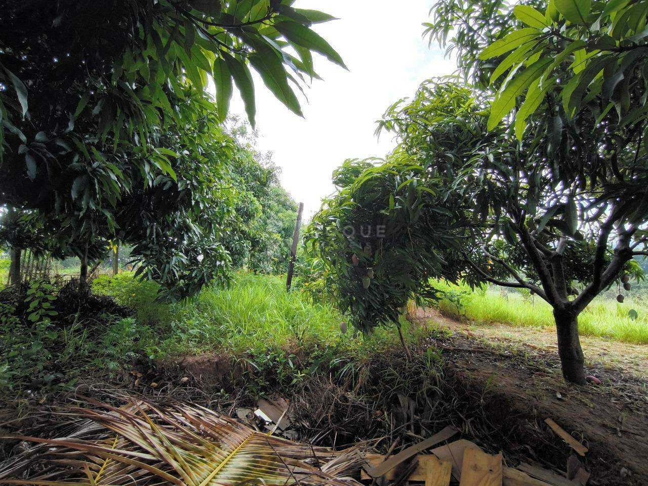 Chácara à venda no bairro Pires de Cima: