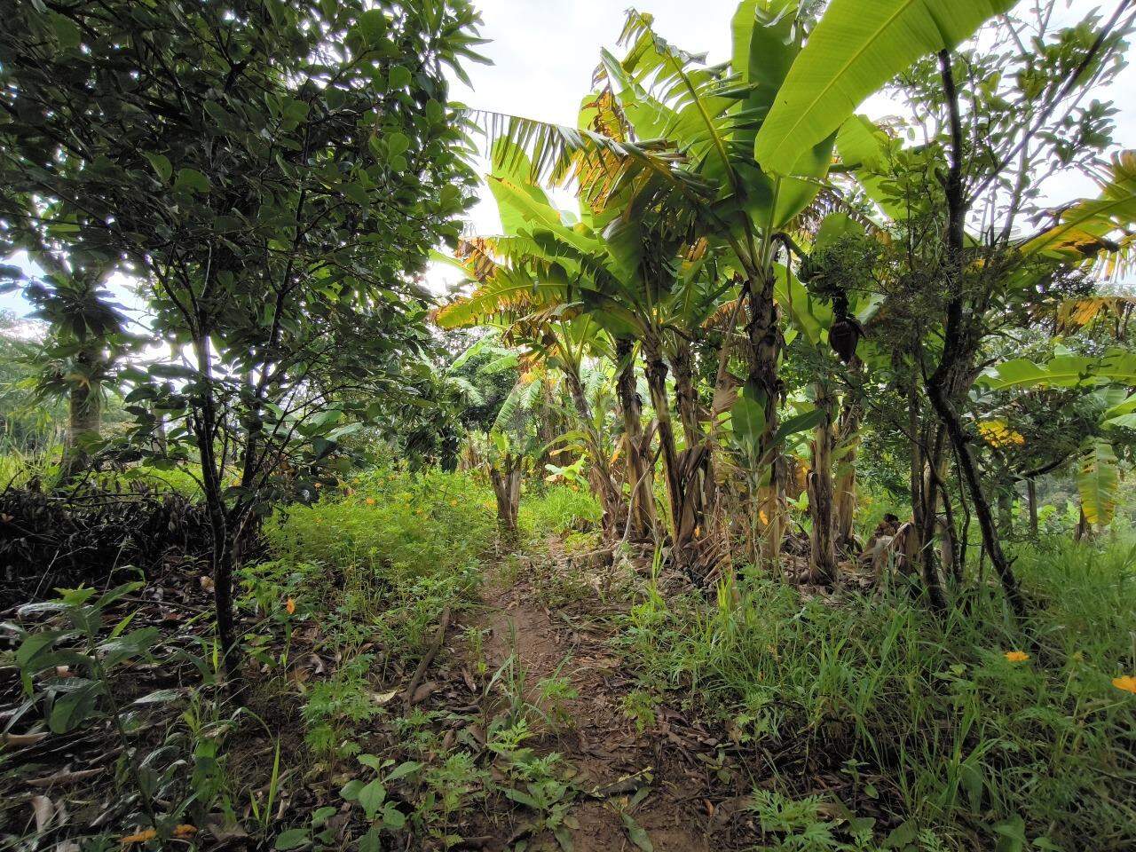 Chácara à venda no bairro Pires de Cima: