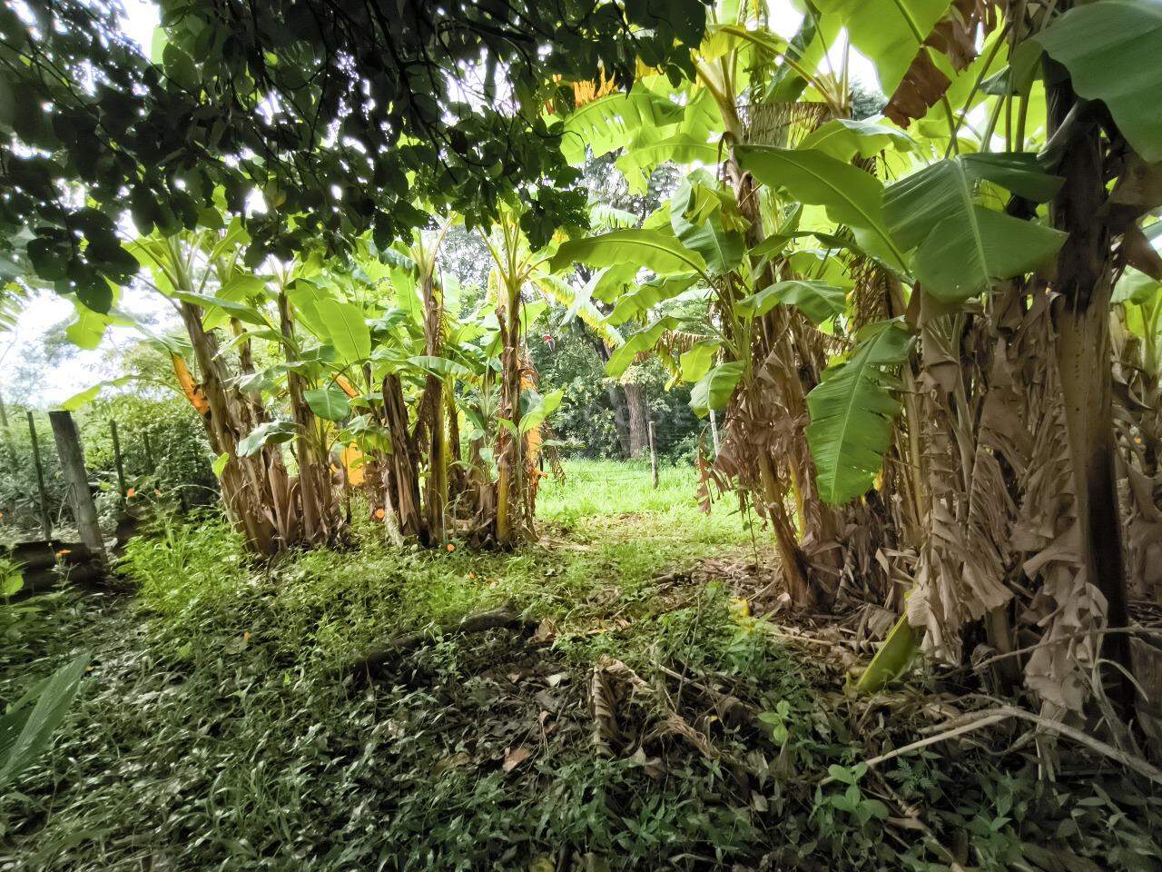 Chácara à venda no bairro Pires de Cima: