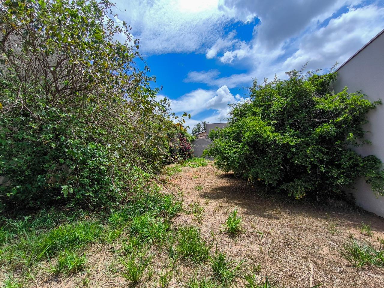 Terreno em condomínio à venda no bairro Jardim Parque Avenida: 