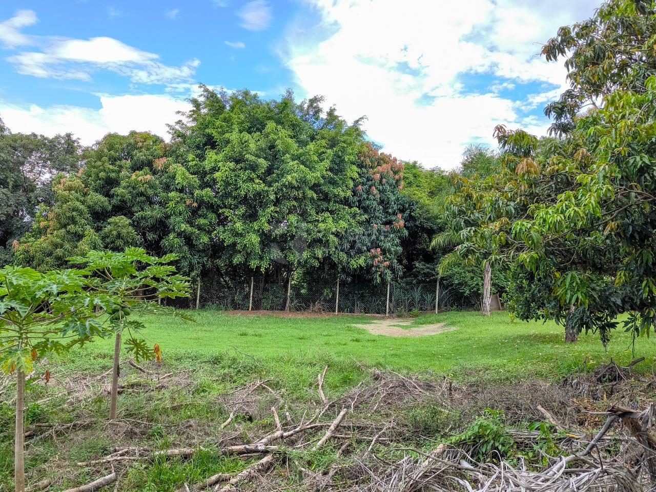 Chácara à venda no bairro Bairro dos Pires: ÁREA VERDE
