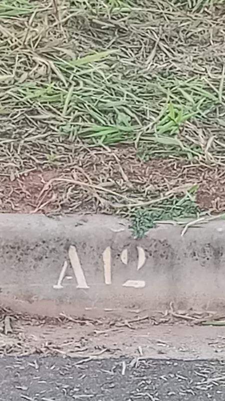 Terreno à venda no bairro Jardim Campo Verde II: 