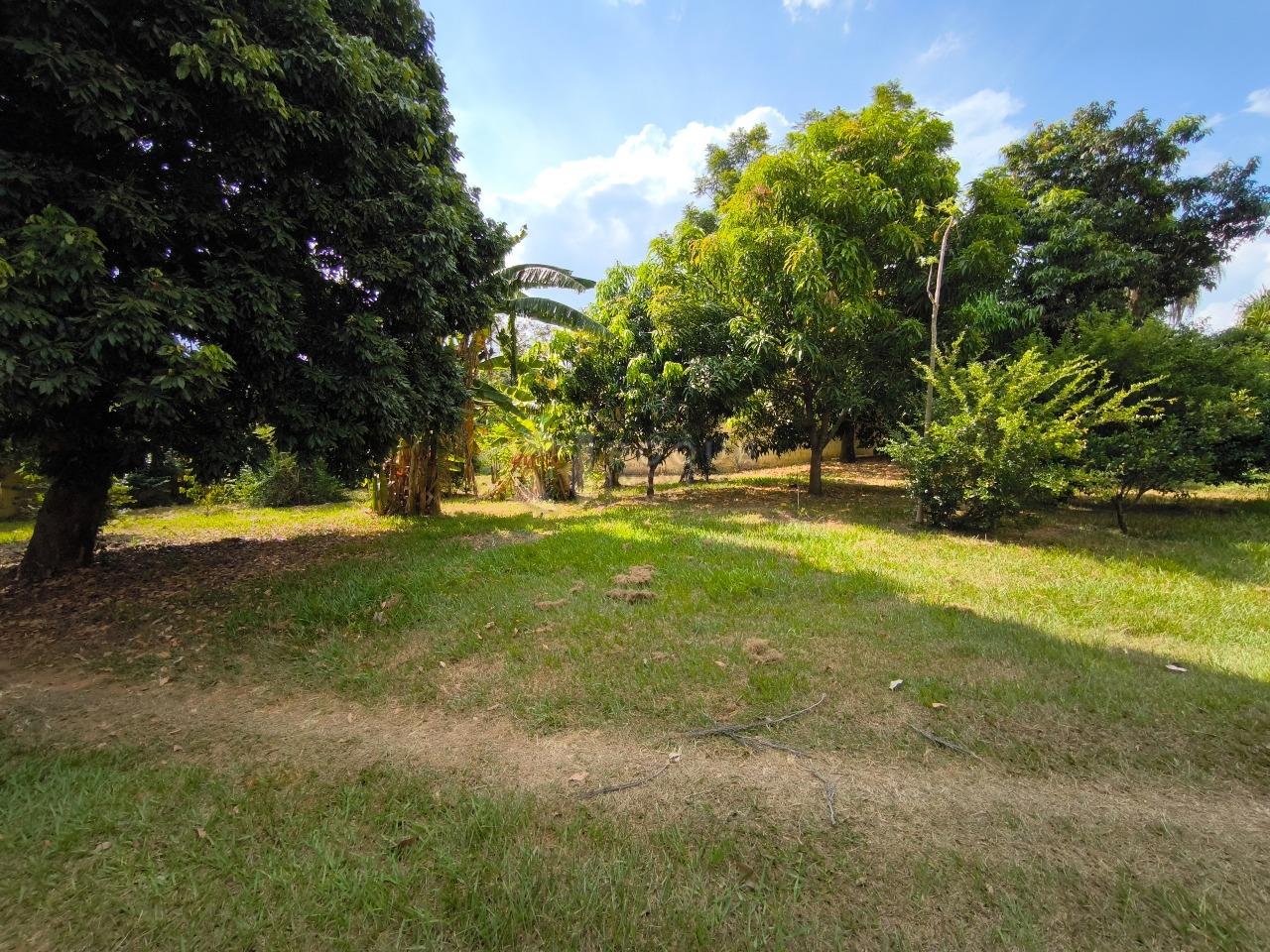 Chácara à venda no bairro Jardim do Lago: ÁREA VERDE