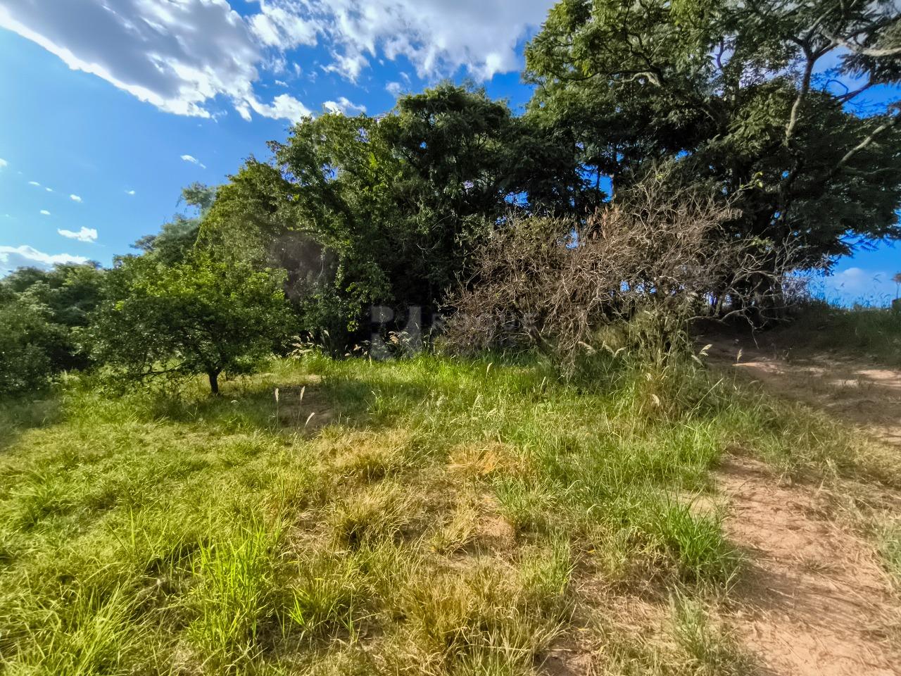 Área à venda no bairro Bairro dos Pires de Baixo: 