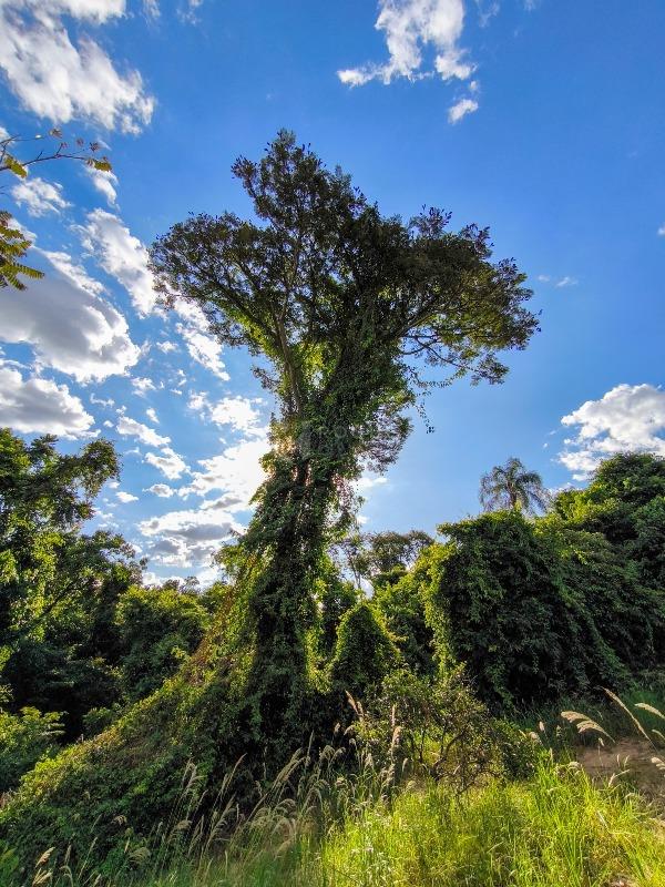 Área à venda no bairro Bairro dos Pires de Baixo: 