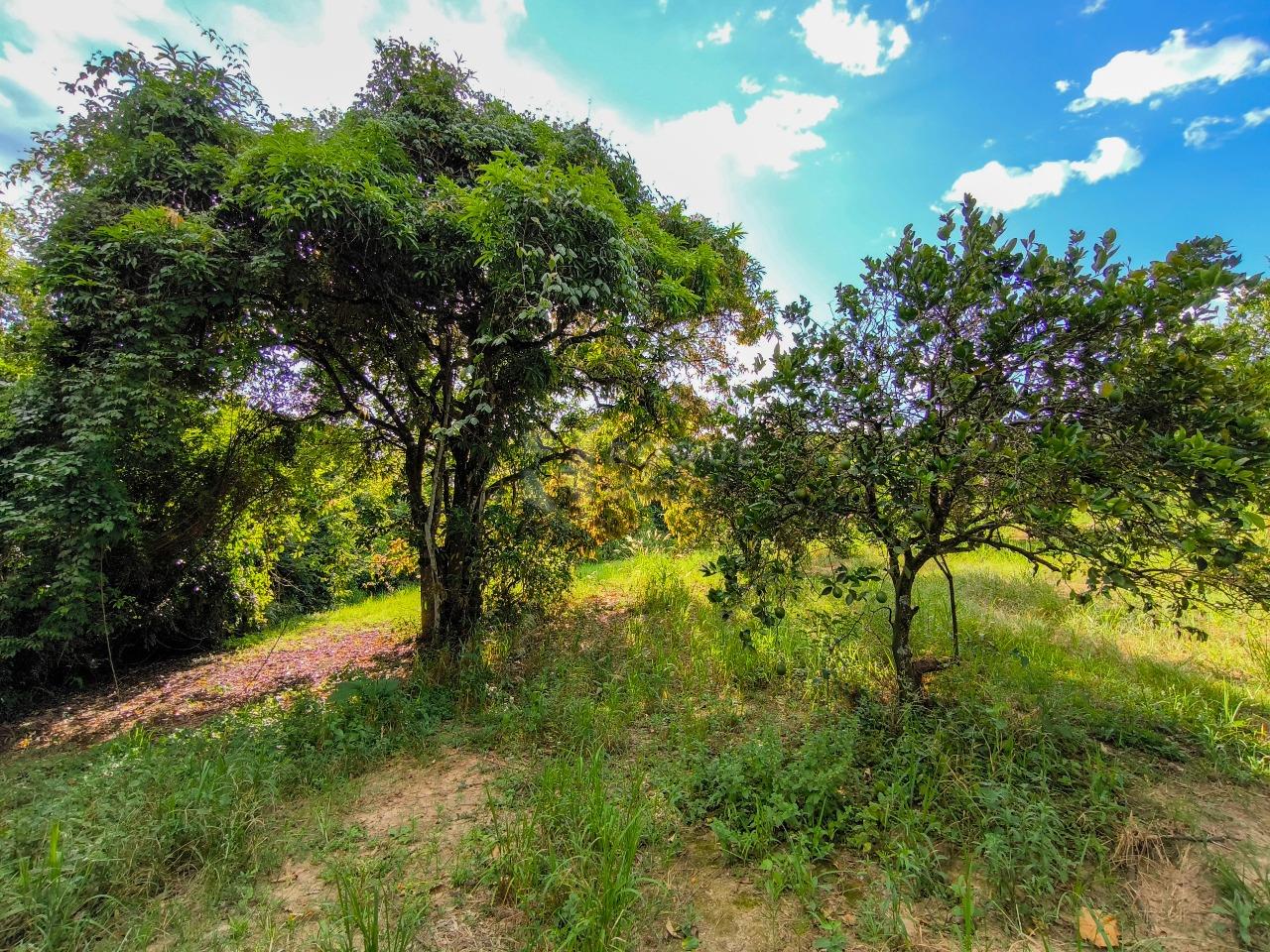 Área à venda no bairro Bairro dos Pires de Baixo: 