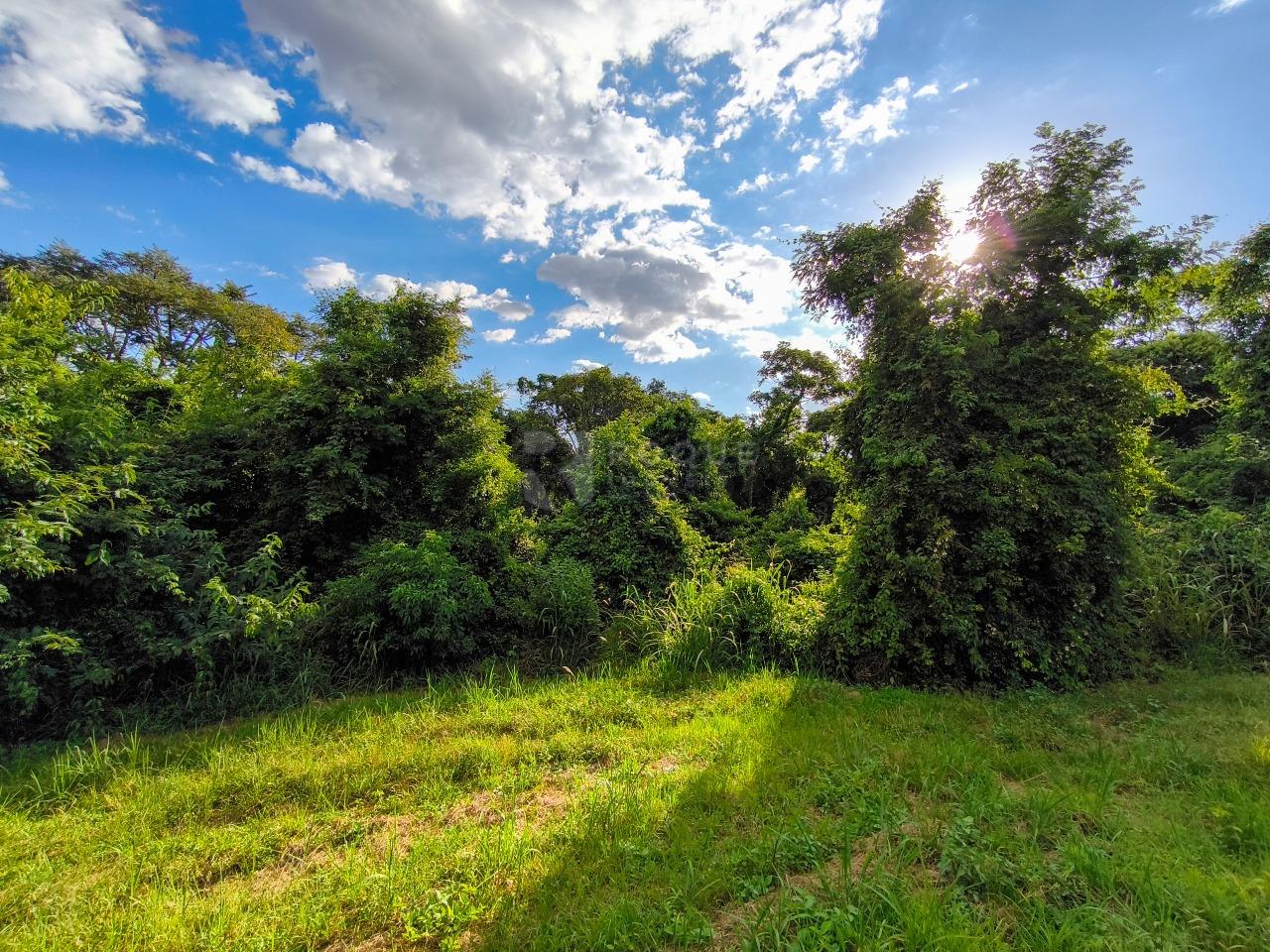 Área à venda no bairro Bairro dos Pires de Baixo: 