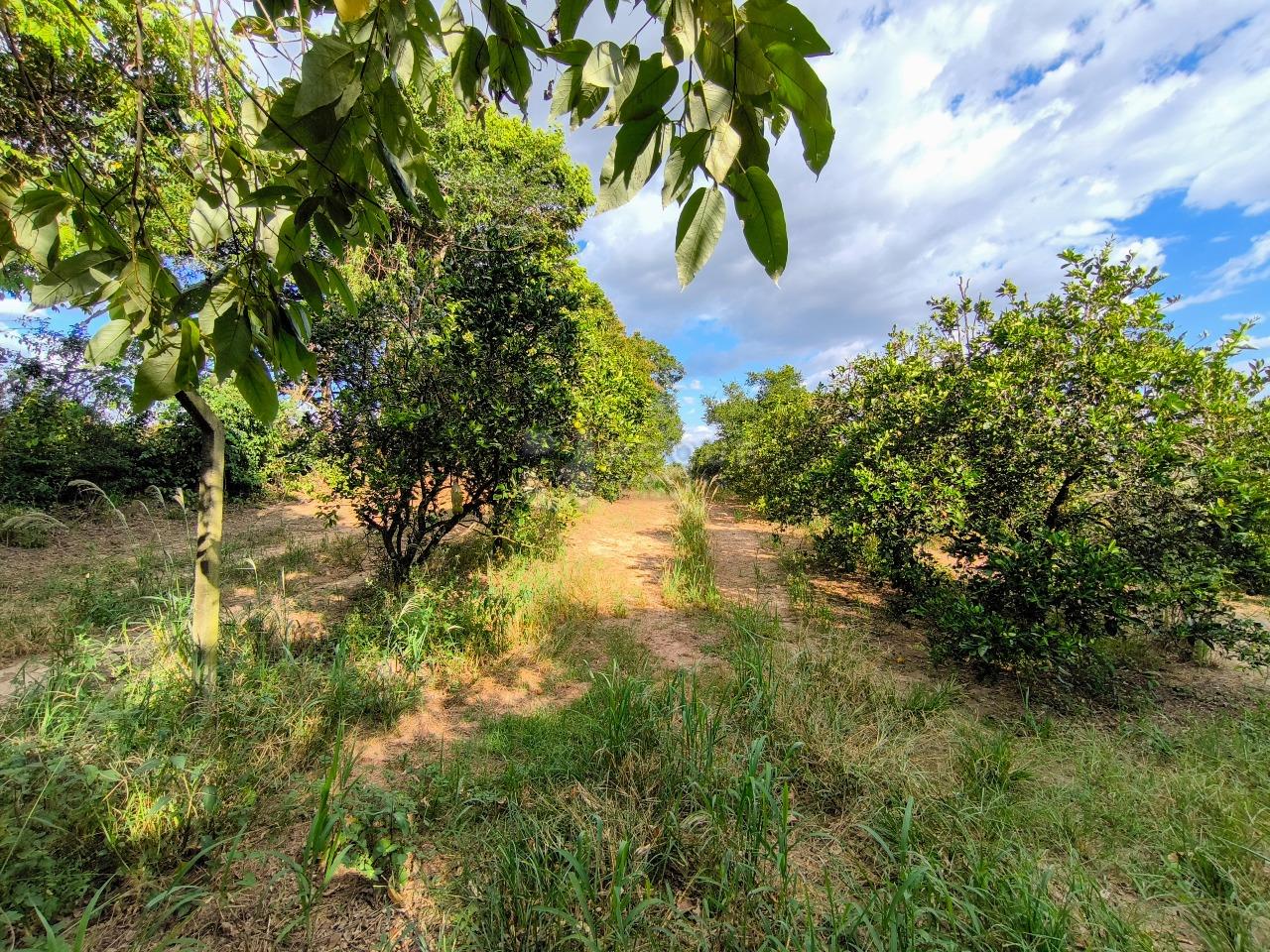 Área à venda no bairro Bairro dos Pires de Baixo: 