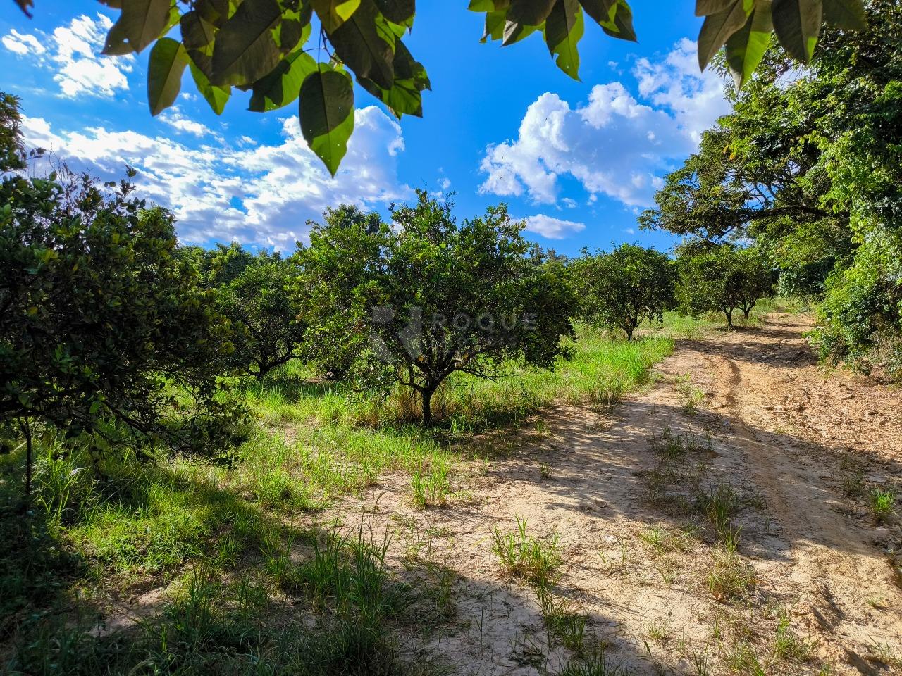 Área à venda no bairro Bairro dos Pires de Baixo: 