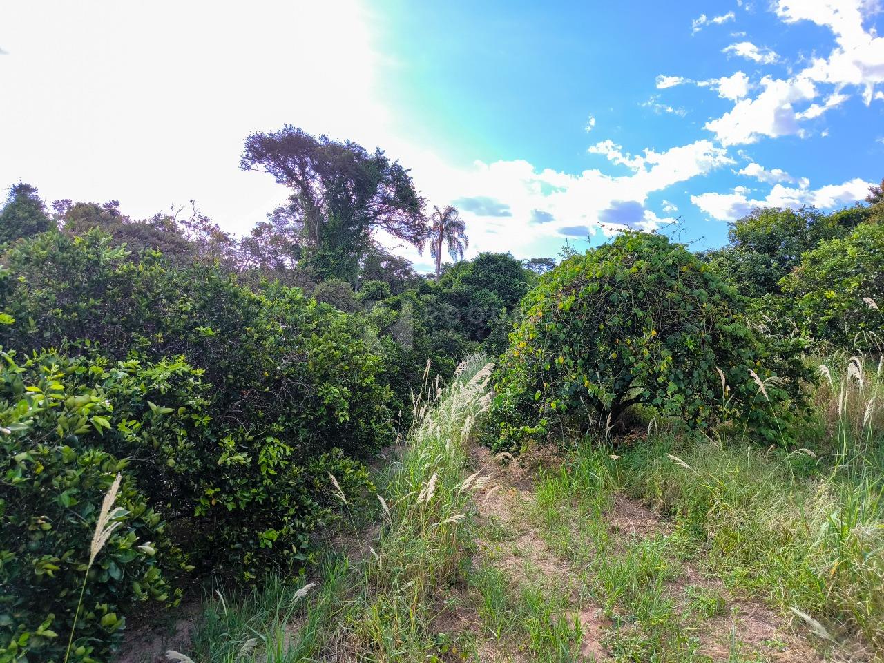 Área à venda no bairro Bairro dos Pires de Baixo: 