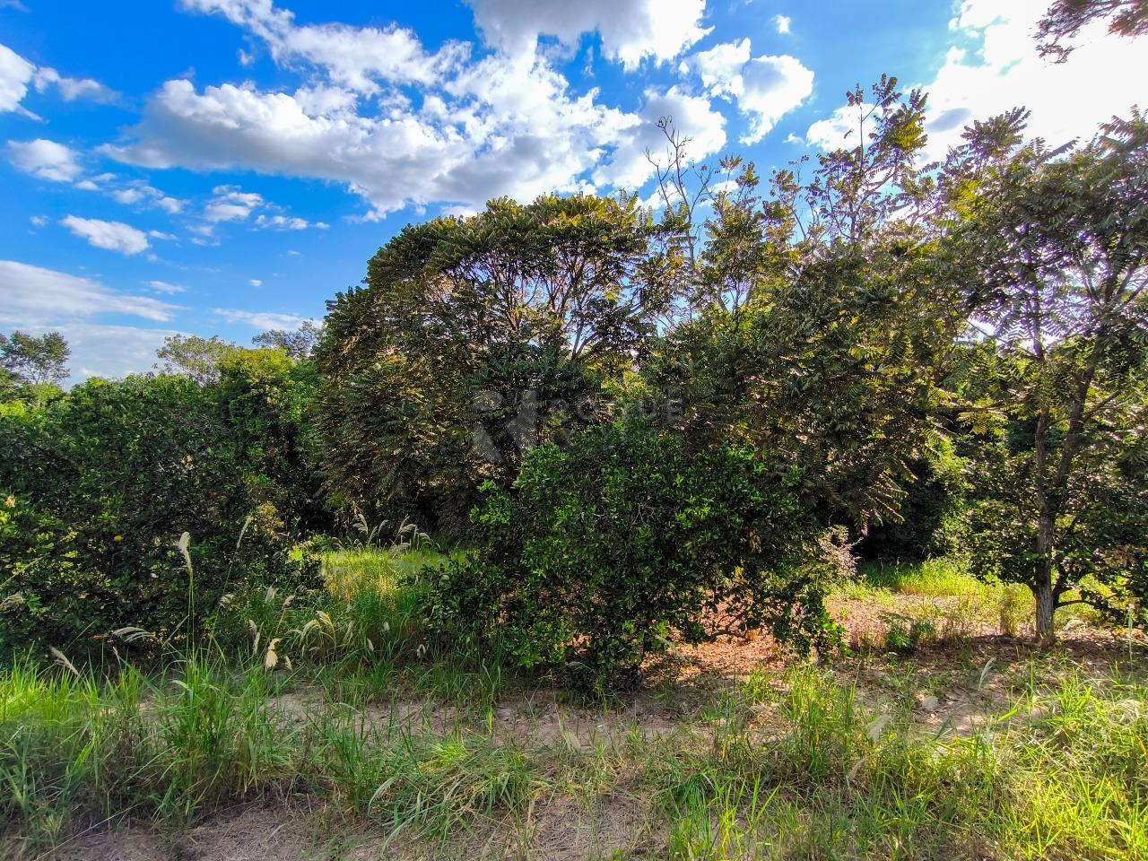 Área à venda no bairro Bairro dos Pires de Baixo: 