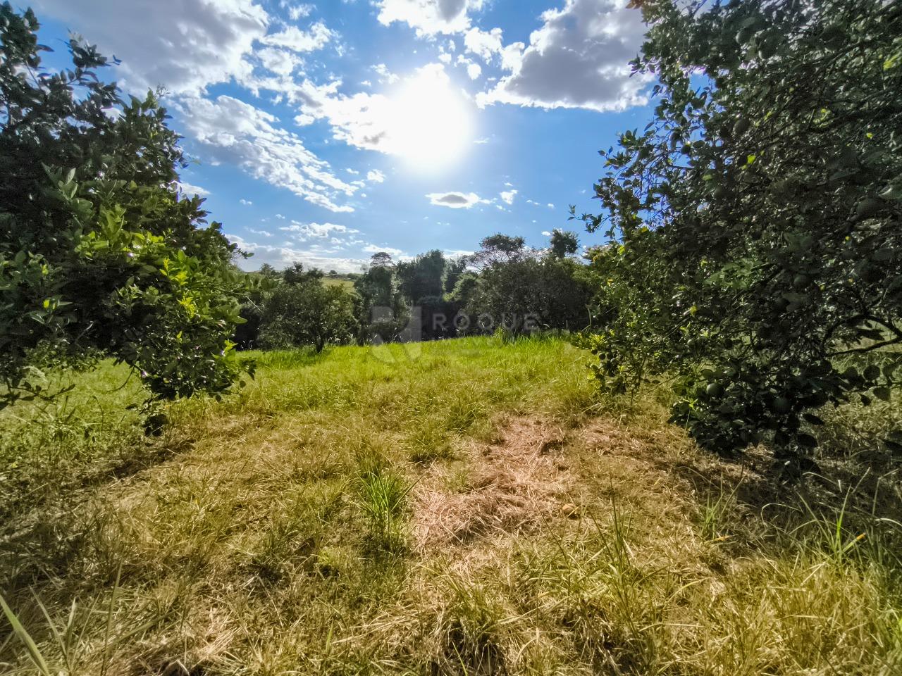 Área à venda no bairro Bairro dos Pires de Baixo: 