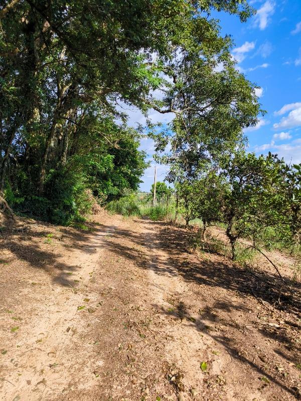 Área à venda no bairro Bairro dos Pires de Baixo: 