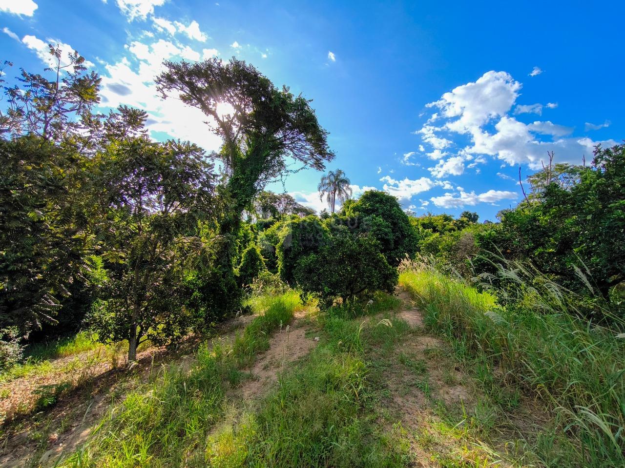Área à venda no bairro Bairro dos Pires de Baixo: 