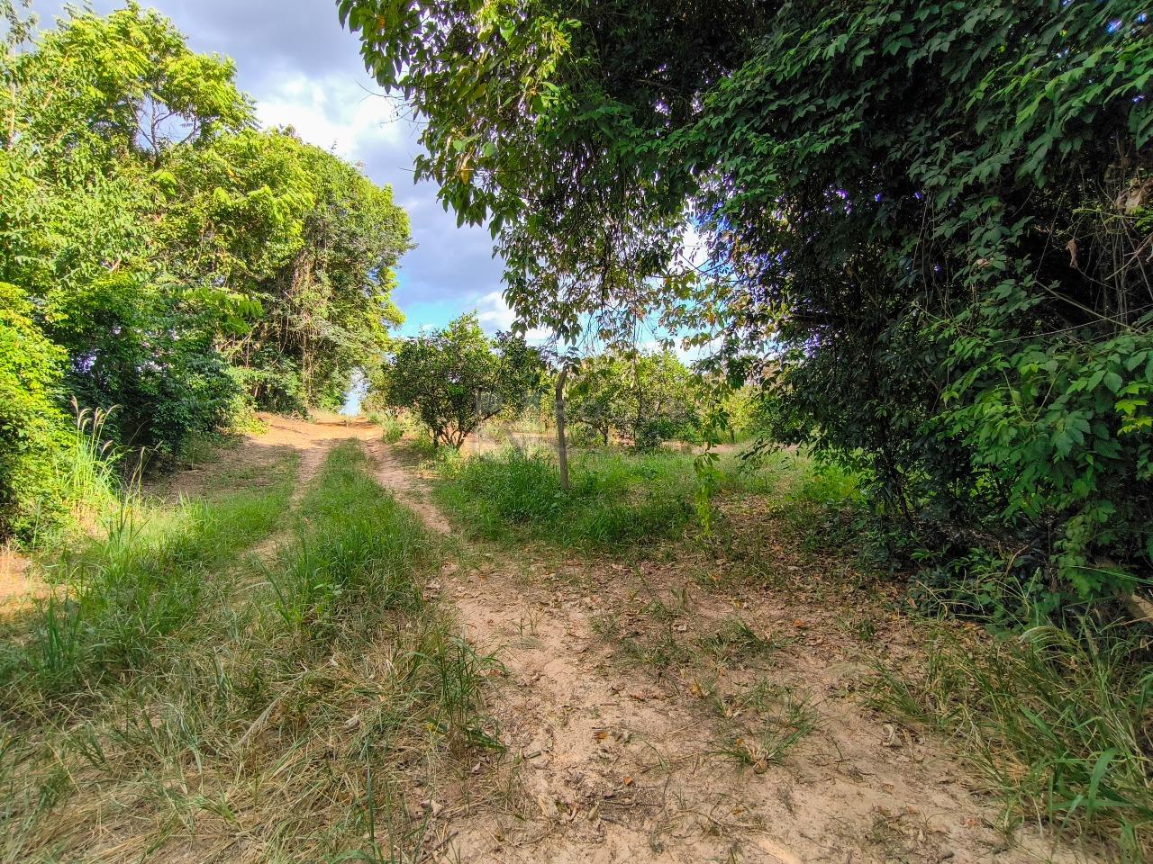Área à venda no bairro Bairro dos Pires de Baixo: 