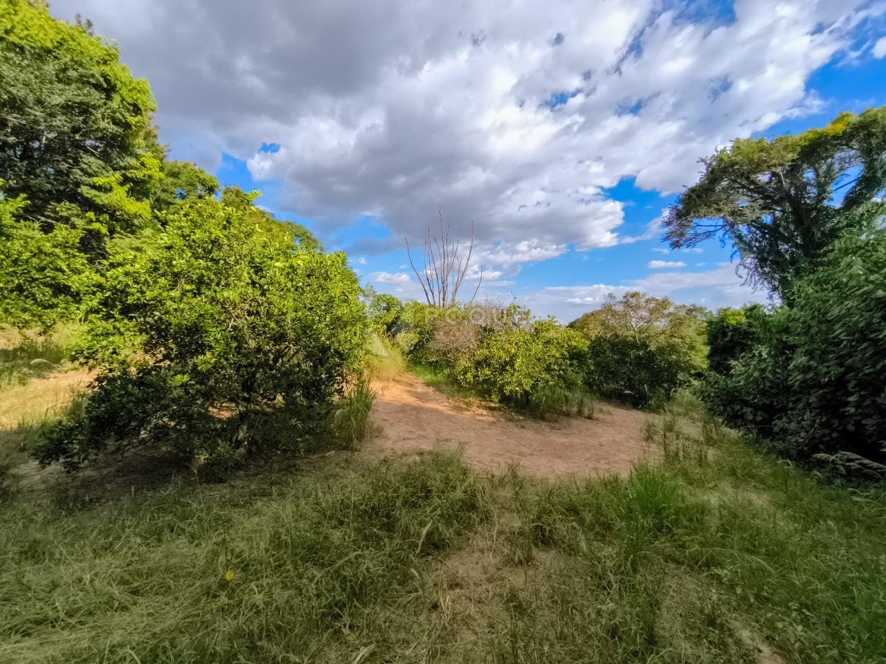 Área à venda no bairro Bairro dos Pires de Baixo: 