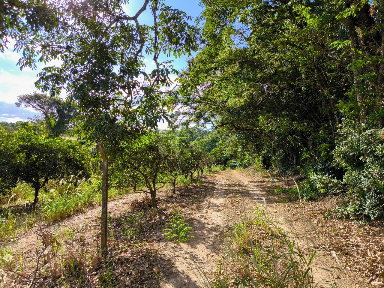 Área à venda no bairro Bairro dos Pires de Baixo: 