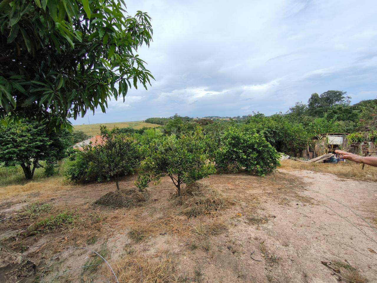 Sítio à venda no bairro Bairro do Pinhal: ÁREA DE PALNTIO