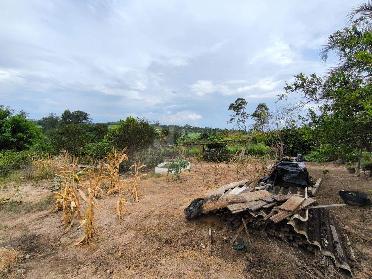 Sítio à venda no bairro Bairro do Pinhal: ÁREA VERDE