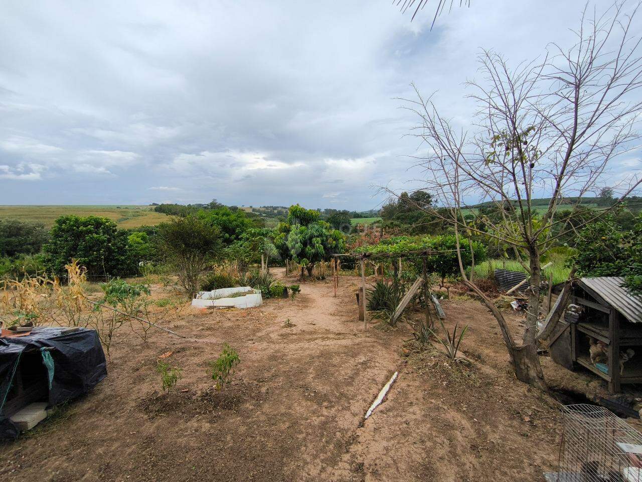 Sítio à venda no bairro Bairro do Pinhal: ÁREA DE PALNTIO