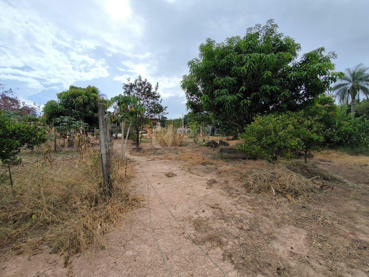 Sítio à venda no bairro Bairro do Pinhal: ÁREA DE PLANTIO
