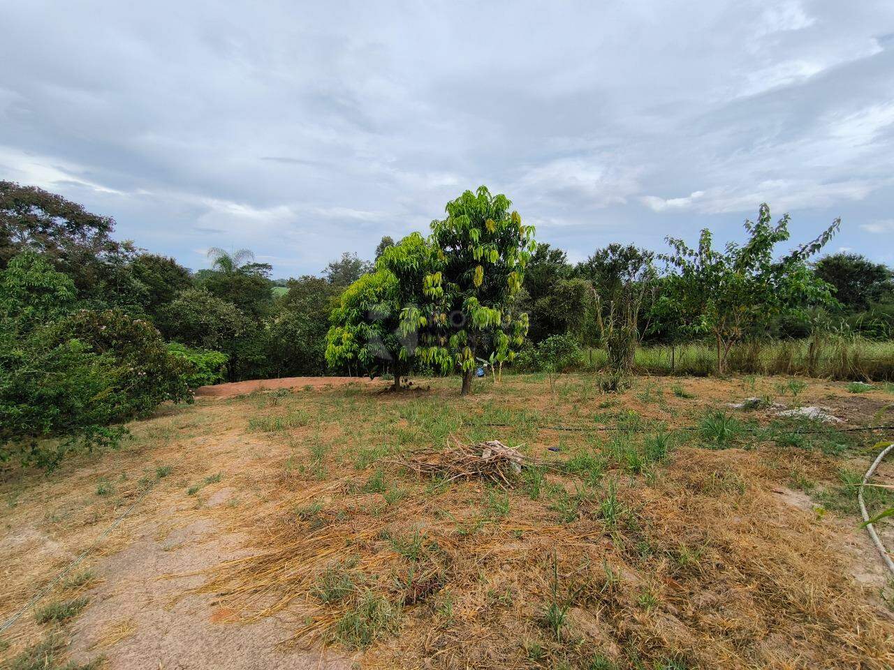 Sítio à venda no bairro Bairro do Pinhal: ÁREA DE PLANTIO