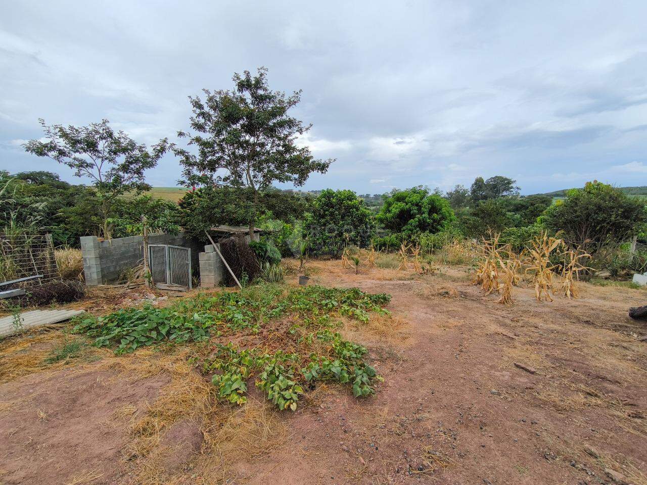 Sítio à venda no bairro Bairro do Pinhal: ÁREA VERDE