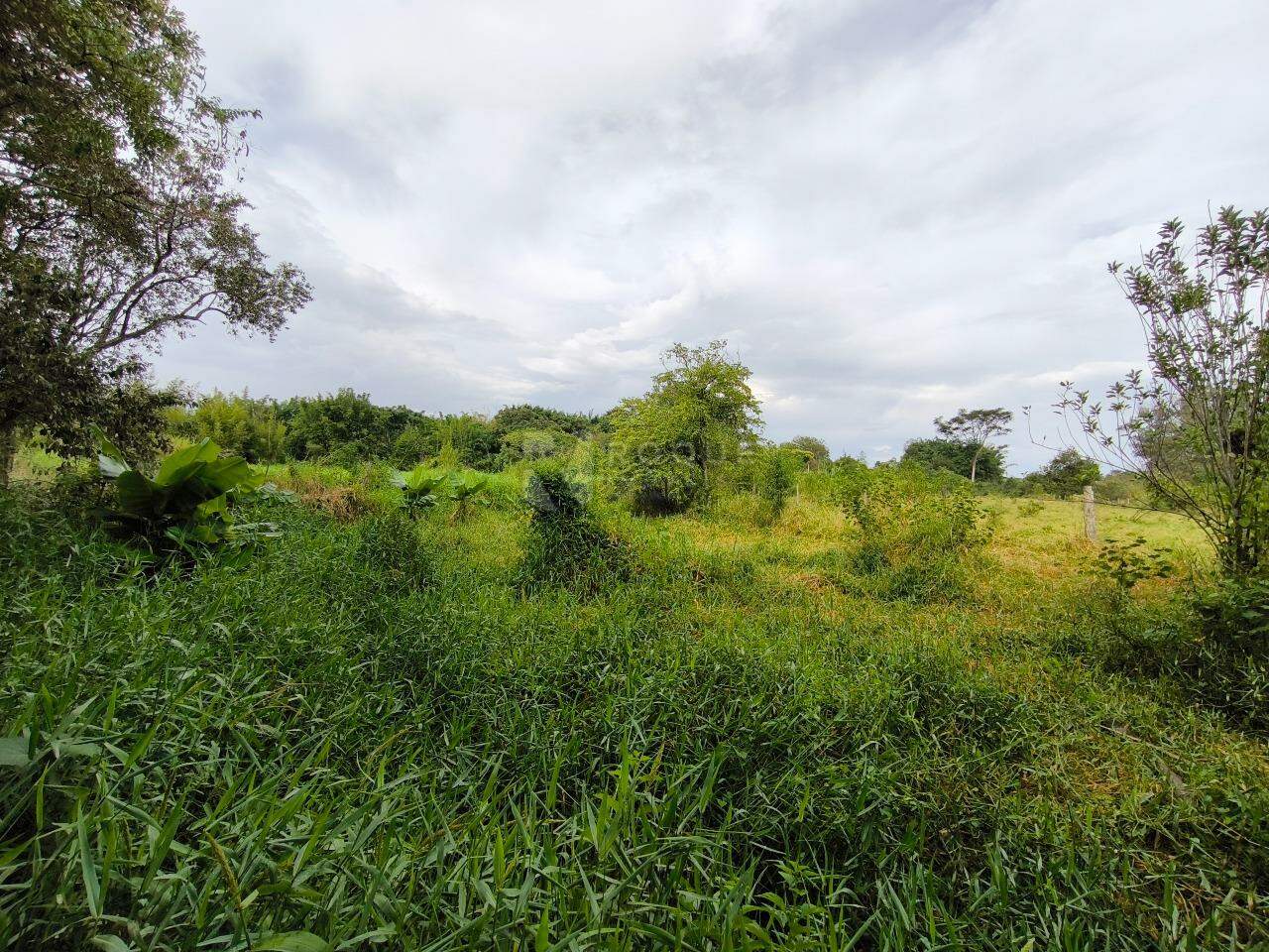 Sítio à venda no bairro Bairro do Pinhal: ÁREA VERDE