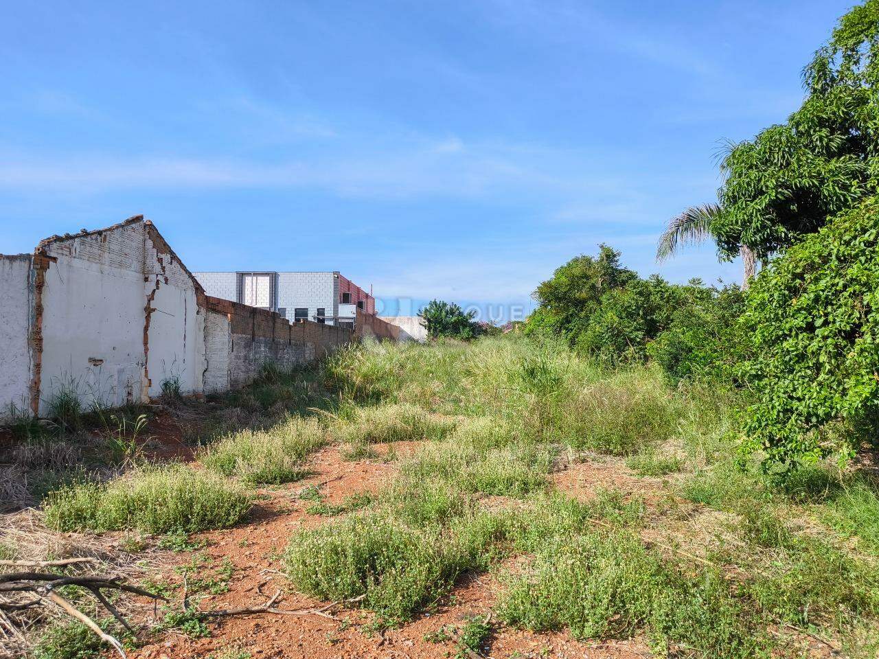 Terreno à venda no bairro Chácaras Antonieta: 