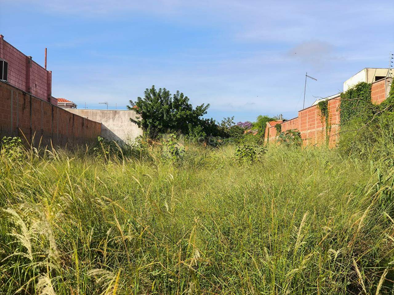 Terreno à venda no bairro Chácaras Antonieta: 