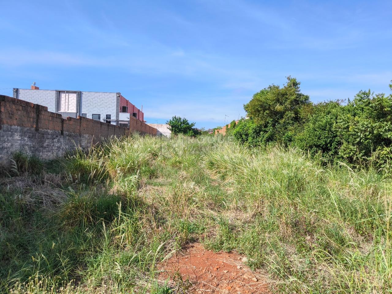 Terreno à venda no bairro Chácaras Antonieta: 