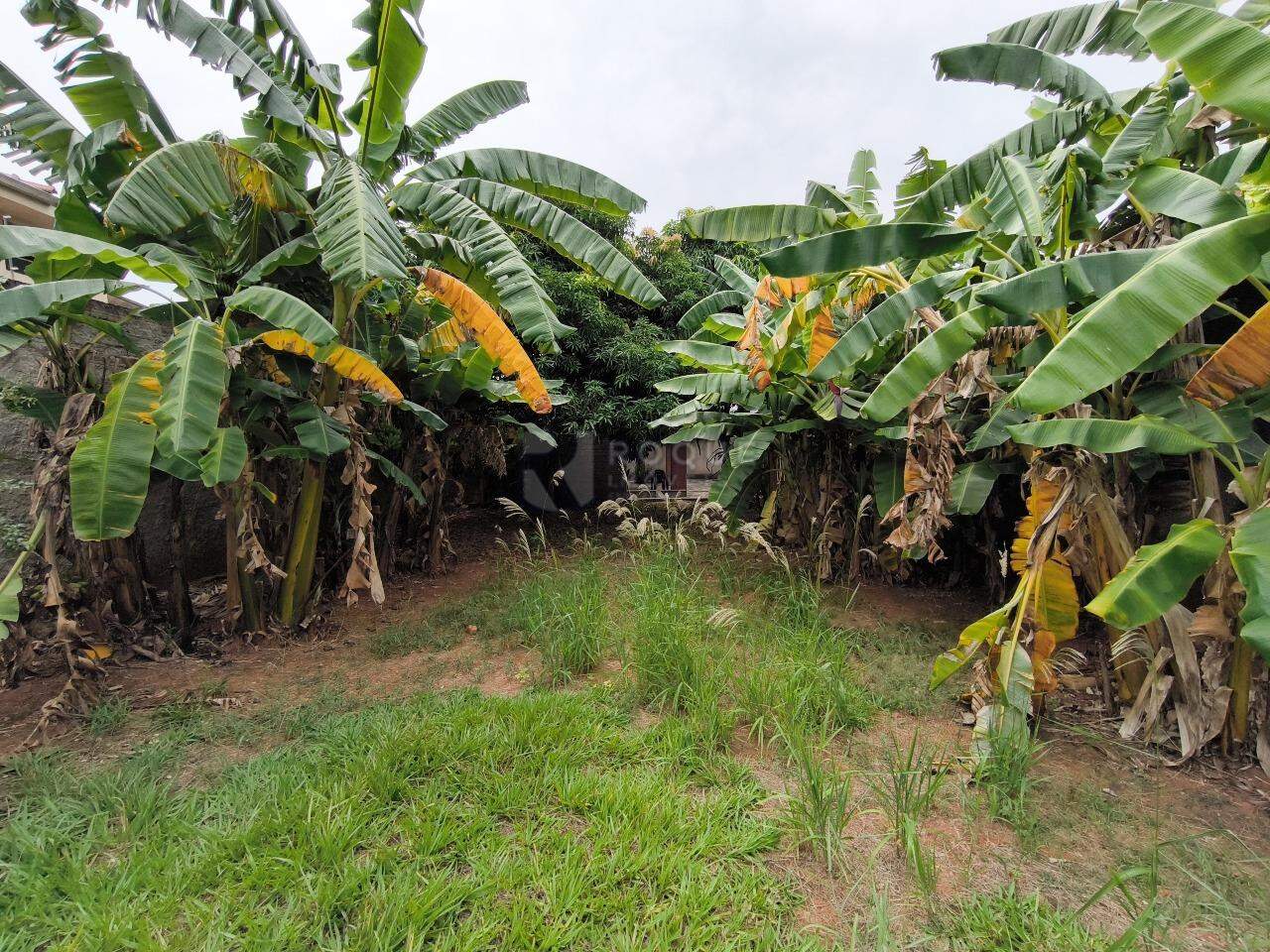 Terreno à venda no bairro Cidade Jardim: 
