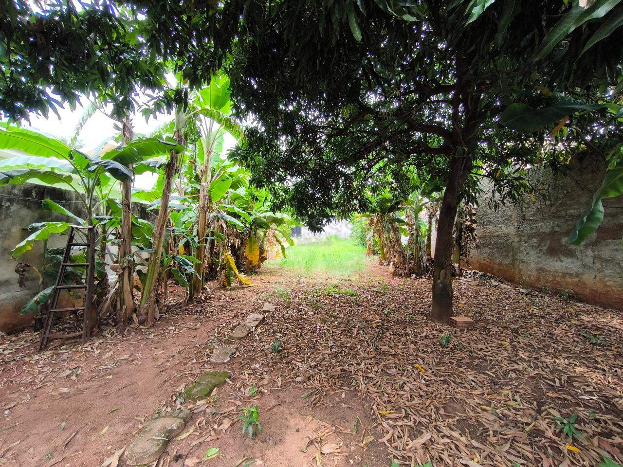 Terreno à venda no bairro Cidade Jardim: 